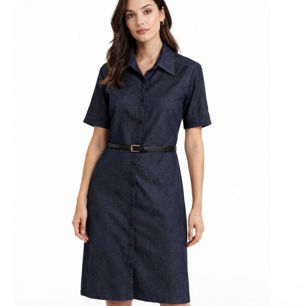 Cleo | Lux Button-Down Demin Shirt  Dress - Picture 8 of 8